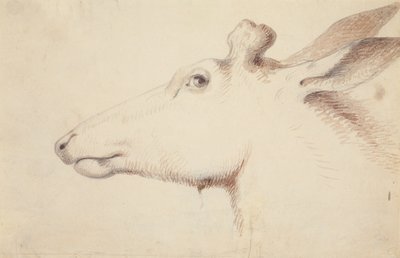 エルク。 1837年頃（絵） 作： Alfred Jacob Miller