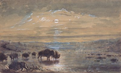 夜景、大草原のバッファロー、1837年頃（紙に水彩） 作： Alfred Jacob Miller