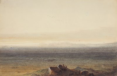 プレーリー、1837年頃（紙に鉛筆、水彩、グワッシュ） 作： Alfred Jacob Miller