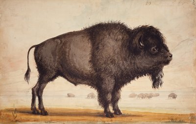 そよ風の香り、1837年頃（紙に水彩） 作： Alfred Jacob Miller