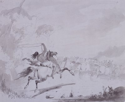 なげなわを投げる、1837年頃（グレーのカードにグレーのウォッシュを施したペンとインク） 作： Alfred Jacob Miller