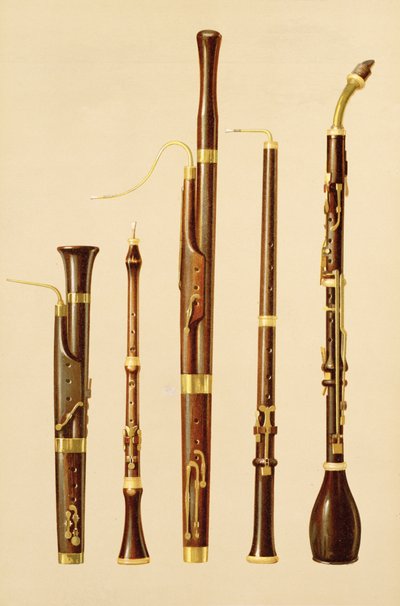 &39;Musical Instruments&39;（色付きのリソ）のDulcian、オーボエ、ファゴット、オーボエダカッチャ、バセットホーン 作： Alfred James Hipkins