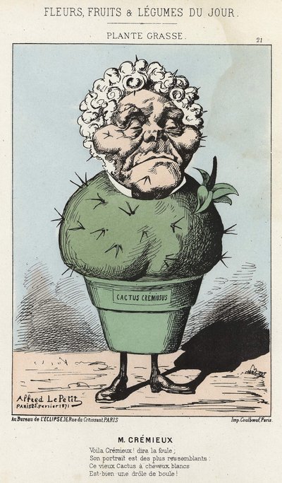 グラースの植物アドルフ・クレミューの漫画 - 1871年2月25日の "今日の花、果物、野菜 "に掲載された写真 作： Alfred Le Petit