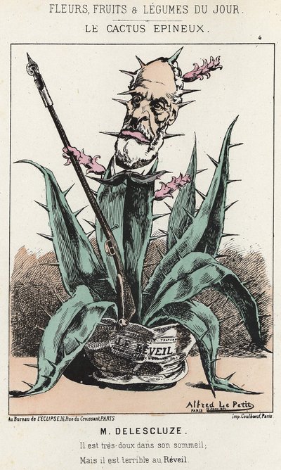 棘のあるサボテンルイ・シャルル・ドリスクルーズ（1809-1871）の漫画 - 1871年1月16日の「今日の花、果物、野菜」の図版 作： Alfred Le Petit