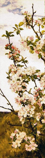 リンゴの花 1880-86年頃 パネルに油彩 作： Alfred Parsons