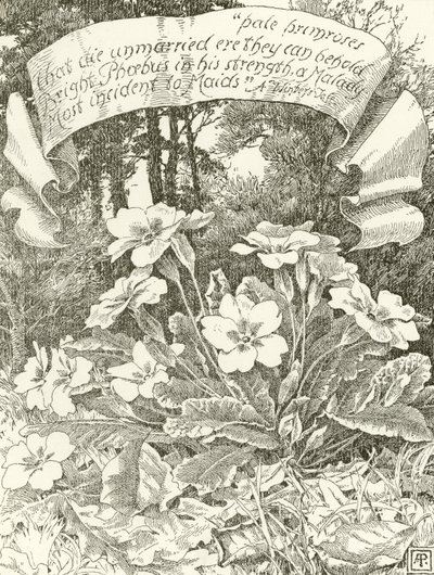 淡いサクラソウ（彫刻） 作： Alfred Parsons