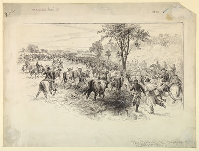 南軍騎兵隊による牛の襲撃 作： Alfred R. Waud