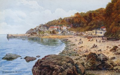 ババクームビーチ 作： Alfred Robert Quinton