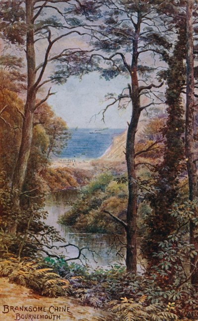 Branksome Chine、ボーンマス 作： Alfred Robert Quinton