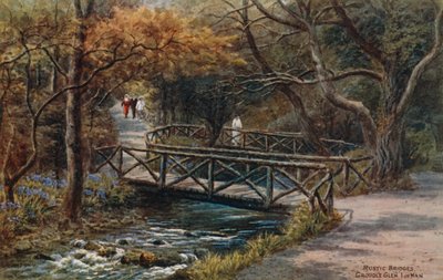 素朴な橋、Groudle Glen、I of Man 作： Alfred Robert Quinton