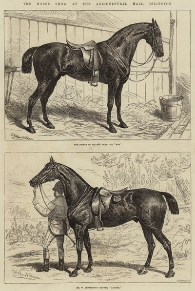 イズリントン農業ホールでの馬ショー 作： Alfred Sheldon Williams