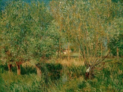 A.シスレー、オーバンヌのほとりの柳 作： Alfred Sisley