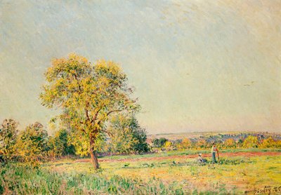 夏の日、1886 作： Alfred Sisley