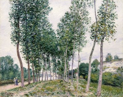 ロイン沿いのポプラの路地、1892 作： Alfred Sisley