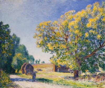 森の周り、クリアリング;森の周り、Clairiere 作： Alfred Sisley