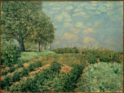 フィールド 作： Alfred Sisley