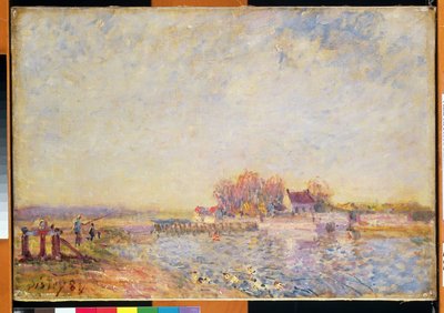 アヒルと川のシーン、1881 作： Alfred Sisley