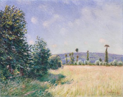 1894年、モーニングサンのサハール牧草地。 作： Alfred Sisley