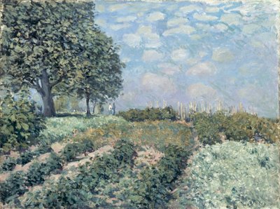 マーケットガーデン 作： Alfred Sisley