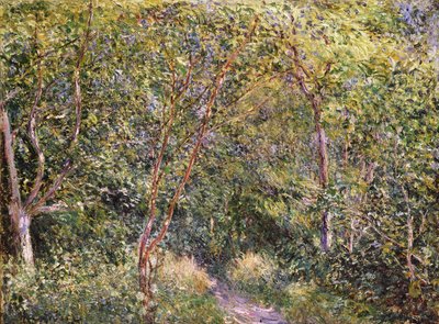 不明な画像 作： Alfred Sisley
