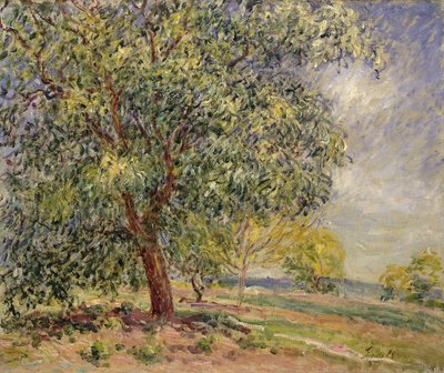 春のサブロンでのクルミの木。ノワイエオサブロン、プリムタンプ、1885 作： Alfred Sisley