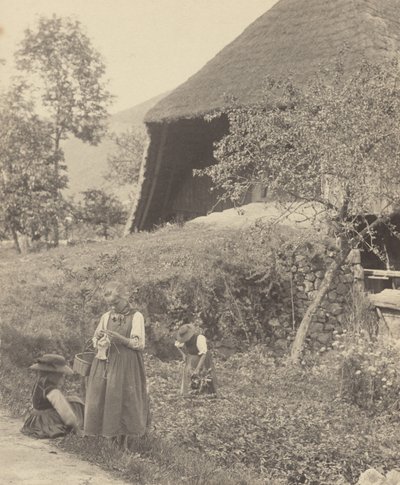  作： Alfred Stieglitz