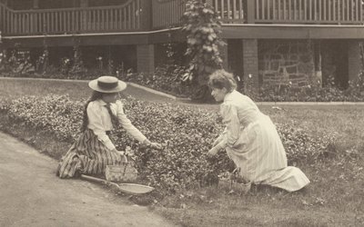  作： Alfred Stieglitz