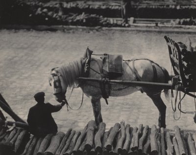  作： Alfred Stieglitz
