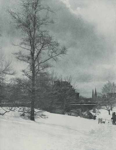  作： Alfred Stieglitz
