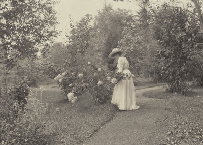  作： Alfred Stieglitz