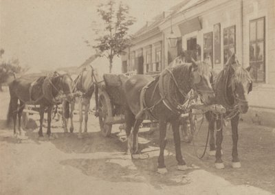  作： Alfred Stieglitz