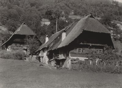  作： Alfred Stieglitz