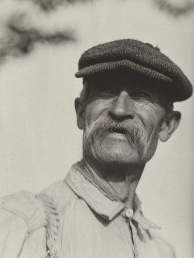 作： Alfred Stieglitz