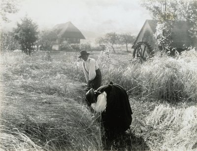  作： Alfred Stieglitz