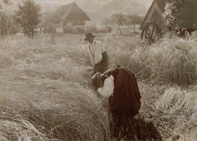  作： Alfred Stieglitz