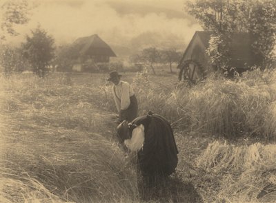  作： Alfred Stieglitz