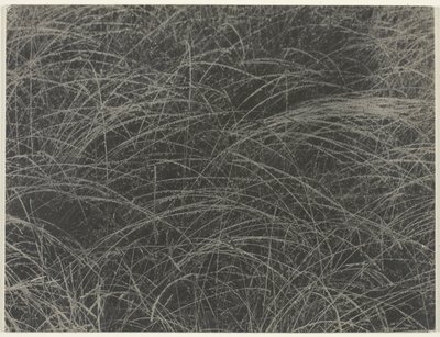 同等 作： Alfred Stieglitz