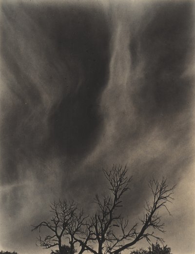  作： Alfred Stieglitz