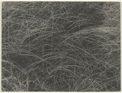 同等、1927年。 作： Alfred Stieglitz