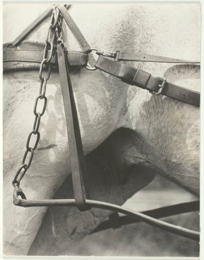 同等、スピリチュアル アメリカ、1923 年。 作： Alfred Stieglitz