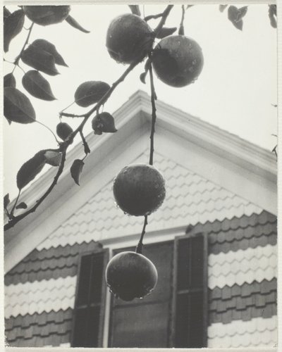 切妻とりんご 作： Alfred Stieglitz