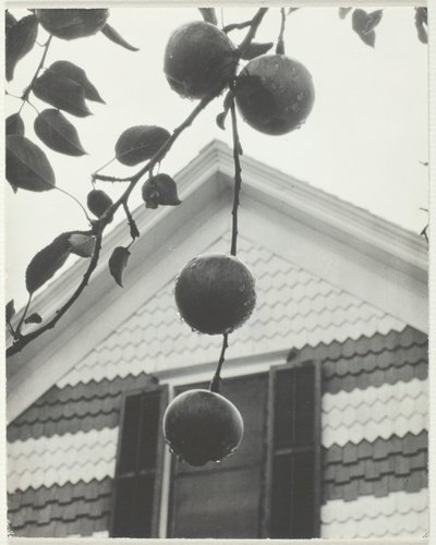 切妻とりんご、1922 年。 作： Alfred Stieglitz