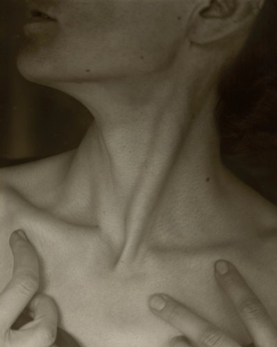 ジョージア・オキーフ・ネック 作： Alfred Stieglitz