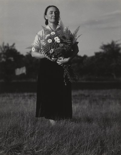  作： Alfred Stieglitz