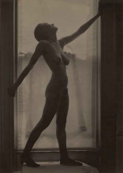  作： Alfred Stieglitz