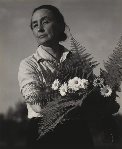  作： Alfred Stieglitz