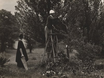  作： Alfred Stieglitz