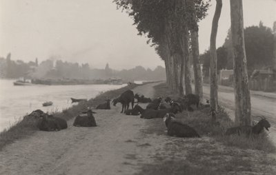  作： Alfred Stieglitz