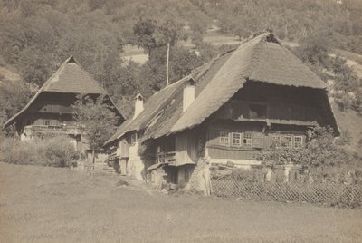  作： Alfred Stieglitz