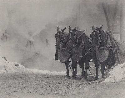 作： Alfred Stieglitz
